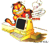 Garfield hacking